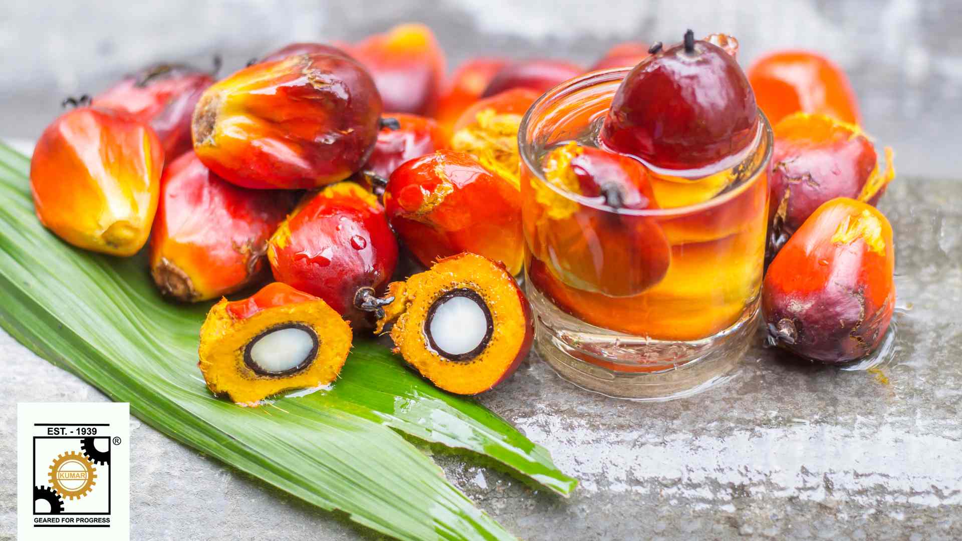 Ultimate Guide to Setting Up the Best Palm Oil Refinery